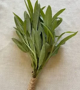 Sage Leaf 8 oz Candle
