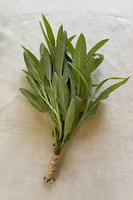 Sage Leaf 8 oz Candle