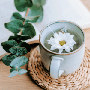 Eucalyptus Tea 8 oz Candle